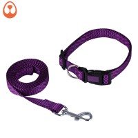 pet suppliers new design beatiful dog collar dog leash set for dog