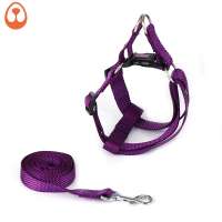 Pet supplier Dog leash and Dog Harness with Buckle Adjustable Safety leash for Dogs Small Medium Large